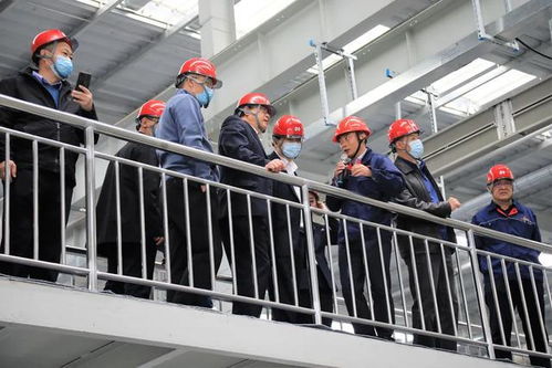 踐行雙碳戰略，打造綠色標桿 晉南鋼鐵集團鋼焦化聯產技術降碳成效顯著